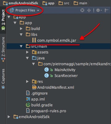 Project Files Panel View